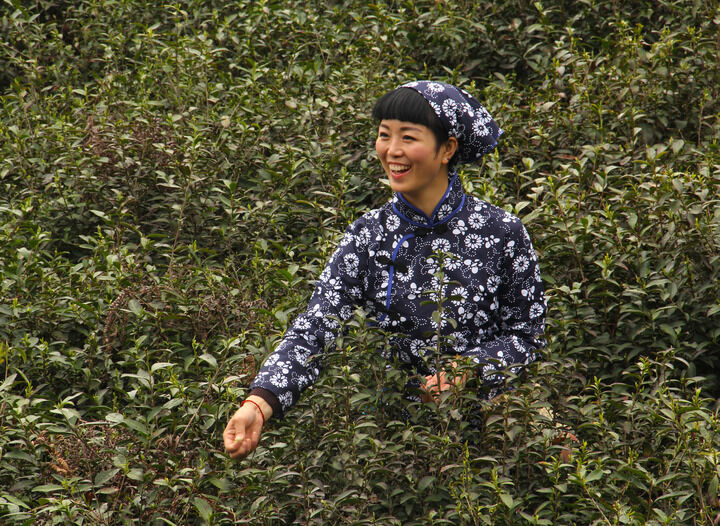 17间房主播跳舞 欲望陷阱